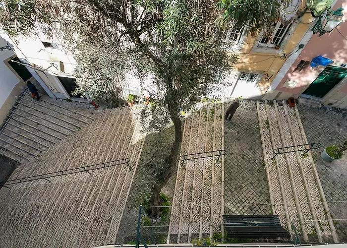 Cosy Alfama Hideout - With Rooftop Terrace *